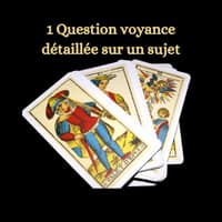 question détaillée