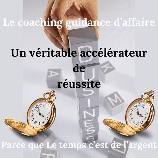 coaching guidance d'affaire